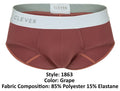 Clever 1863 Lecler Briefs Color Grape