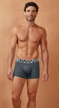 HAWAIR 42521 Cotton blend Trunks Color Gray