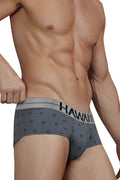 HAWAIR 42531 Cotton blend Briefs Color Gray