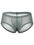 Xtremen 91263 Mens Underwear Microfiber Mesh Briefs Color Green