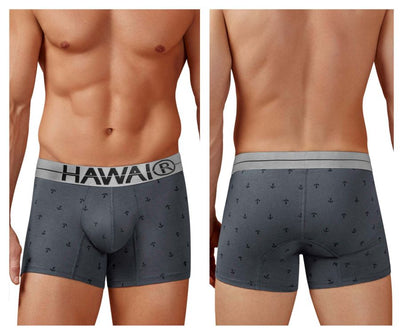 HAWAIR 42521 Cotton blend Trunks Color Gray