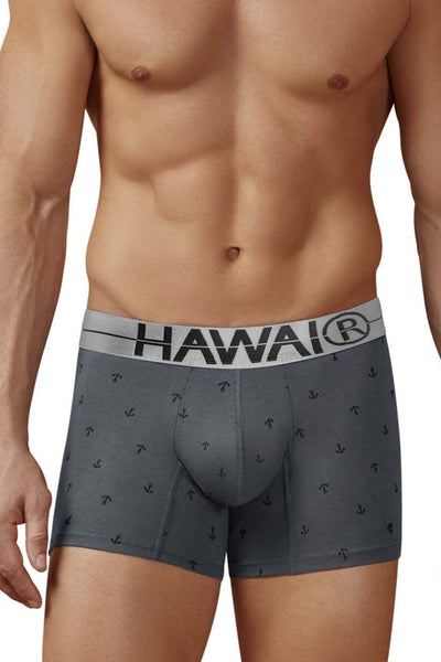 HAWAIR 42521 Cotton blend Trunks Color Gray