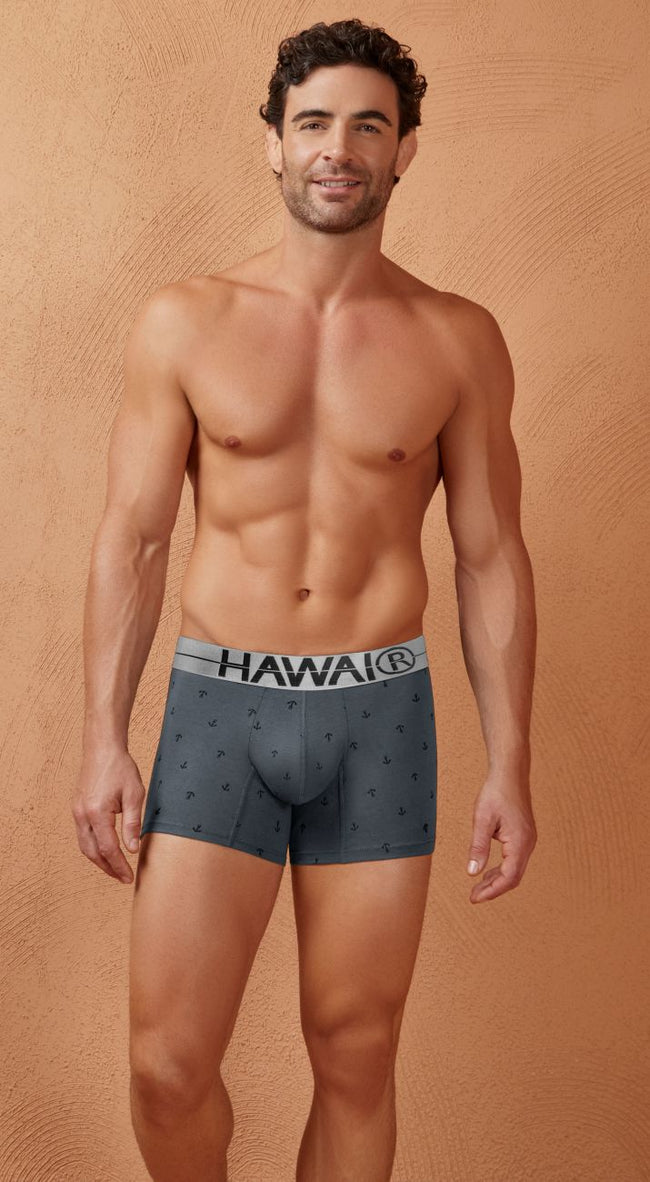 HAWAIR 42521 Cotton blend Trunks Color Gray