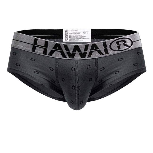 HAWAIR 42531 Cotton blend Briefs Color Gray