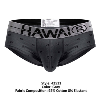 HAWAIR 42531 Cotton blend Briefs Color Gray