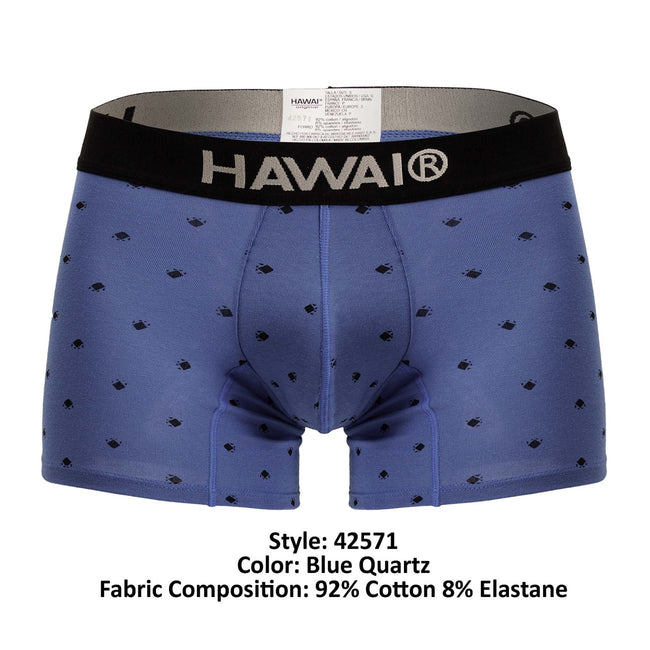 HAWAIR 42571 Cotton blend Trunks Color Blue Quartz