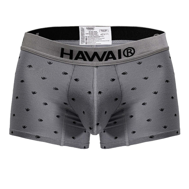 HAWAIR 42571 Cotton blend Trunks Color Gray