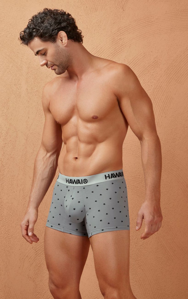 HAWAIR 42571 Cotton blend Trunks Color Gray