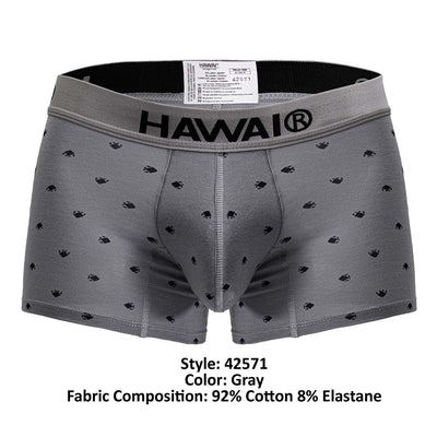 HAWAIR 42571 Cotton blend Trunks Color Gray