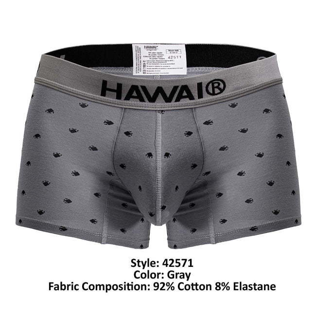 HAWAIR 42571 Cotton blend Trunks Color Gray