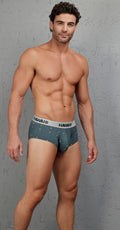 HAWAIR 42580 Microfiber Briefs Color Gray