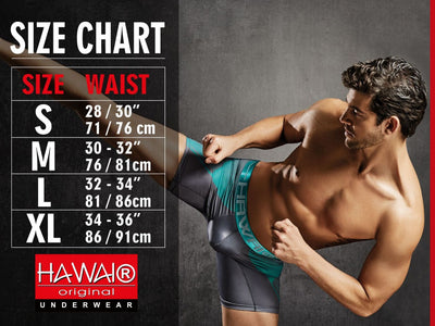 HAWAIR 42580 Microfiber Briefs Color Gray