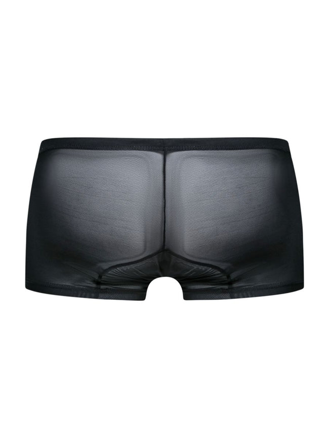 MaleBasics MBL78 Lace Trunks Color Black Mesh