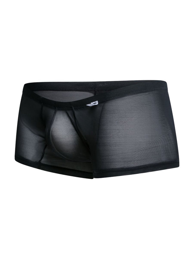 MaleBasics MBL78 Lace Trunks Color Black Mesh