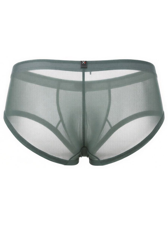 Xtremen 91263 Mens Underwear Microfiber Mesh Briefs Color Green
