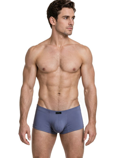 Xtremen 91285 Men's Underwear Sleek Microfiber Briefs Color Gray