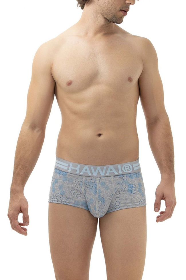 HAWAI 42231 Cotton Trunks Color Gray