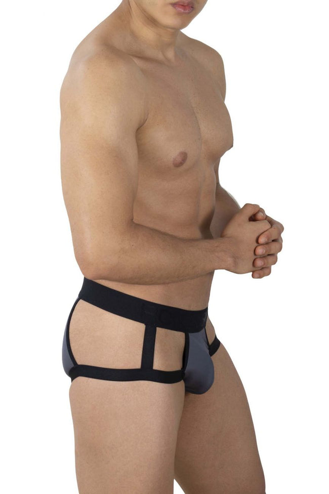Roger Smuth RS030 Briefs Color Gray